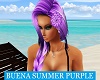 Buena Summer Purple