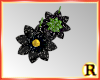 Black Holly