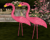 Pink Wedding Flamingo