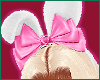 bunny bow v3 ˚ʚ♡ɞ˚