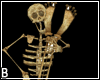 Skeleton Cello