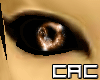 [C.A.C] Agron Lion Eyes