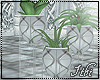 -Ith- Plant Set