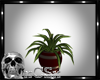 CS Winter Plant v2