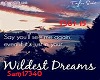 Taylor S.Wildest dreams