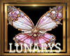 butterfly pink divine