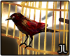 JL. Orla Bird Cage