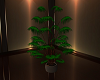 OFFICE PLANT
