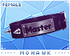 [MO] Collar "Master" F