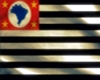 Flag São Paulo