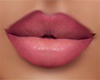 Rose omb Lipstick