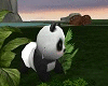  Baby Panda Pet