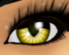 [ZK] Yellow RAWR eyes [F