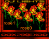 Rose dj light