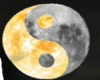 Sun Moon Yin Yang Tee 1