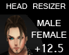 [PC]HeadScaler+12.5% M/F