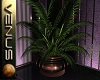 ~V~Bronze Potted Plant