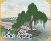!A| Lotus Spring Lake