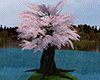 Sakura Tree 2