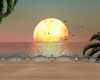 MC| Costa de la Luz