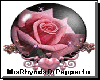 Animated Pink Rose
