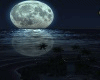 Moon Light Paradise