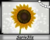 SunflowerAndPoses