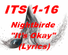 Nightbirde  It's Okay