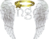 Angel wings sticker