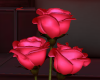 â½ Glass Rose [PINK]