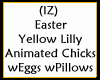 Lily Chicks Pillows Eggs