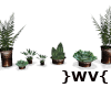 }WV{ RT Plants *Desire*