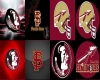 Fla State Animated Pic