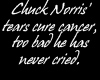 Chuck Norris Shirt