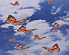 K. Btfly Background