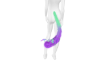 iva Klaris anime tail V5