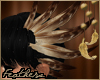 F Lyrbl Eagle Feathers