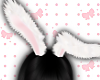NNN.Snow Bunny Ear