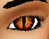 NL2-Cat Eyes Orange
