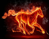 Flaming horse