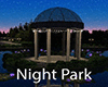 Romantic Night Park