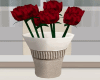 Flowers  Vase