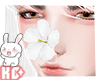 Ko ll Flower Nose White