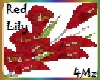 4M'z Red Lily Flower