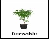 Derivable House Plant