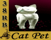 38RB Cat Pet