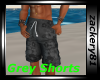 Grey Shorts New