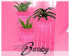 Pink Plant Set