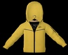 Yellow Tech V1