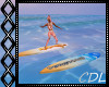 !C* M Surf Boards